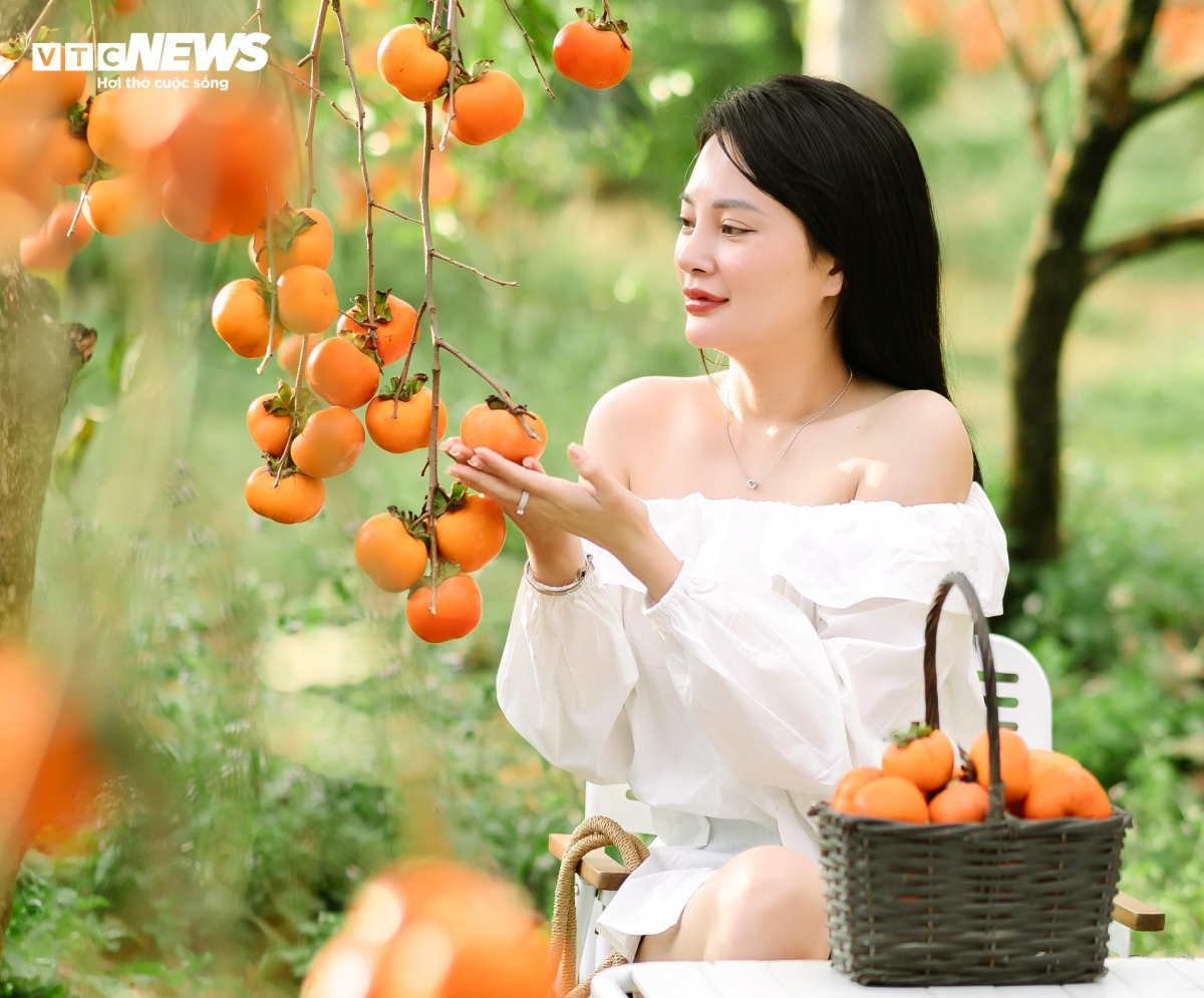 Vẻ đẹp đặc biệt của núi rừng Tây Bắc thu hút nhiều du khách ghé thăm và lưu giữ những khoảnh khắc ấn tượng.