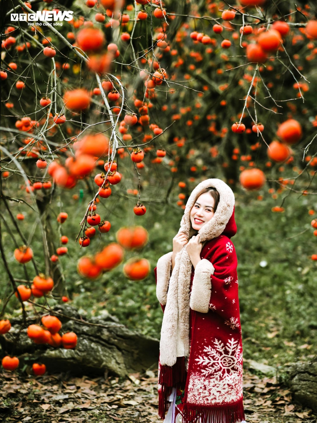 "Mùa hồng đang vào độ đẹp nhất nên tôi cùng nhóm bạn tự lái xe lên khu vực này để tham quan. Ngắm nhìn vẻ đẹp của mùa hồng chín Mộc Châu, nhìn quả hồng chín đỏ trên cây tĩnh lặng, tôi cảm thấy thật yên bình, quên đi hết mọi bộn bề của thực tại“, chị Mai Trang đến từ Hà Nội chia sẻ.