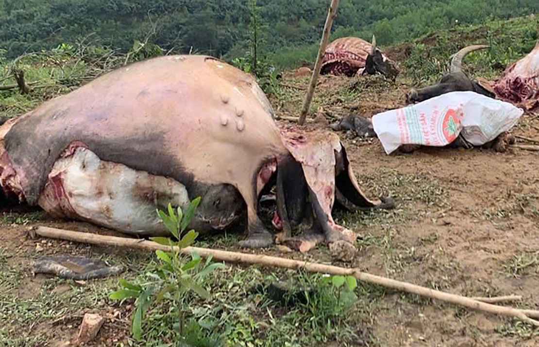 Hiện trường vụ việc.