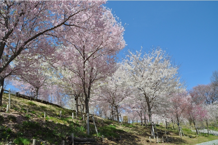 Vườn thú và Vườn Bách thảo Higashiyama