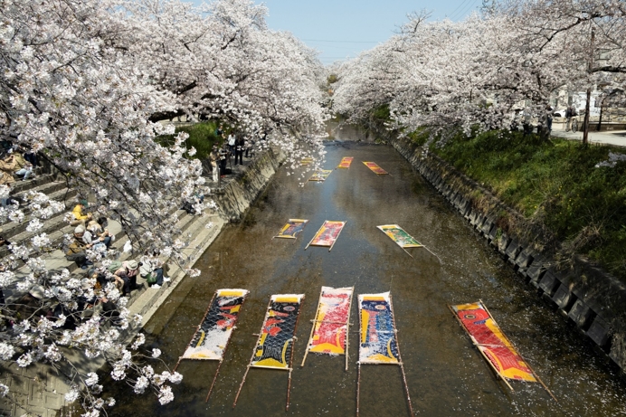 Màn trình diễn "Nonbori Arai"