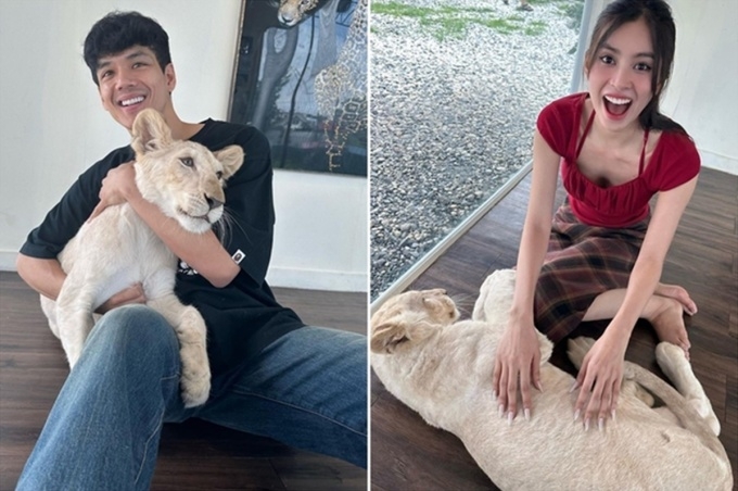 Thông qua vlog mới đây cùng Quốc Anh và Uyển Ân, Tiểu Vy lên tiếng về tin đồn hẹn hò với diễn viên Thái Lan Nicky Nachat Juntapun. Tiểu Vy cho biết mối quan hệ giữa cô và tài tử Thái Lan Nicky Nachat chỉ là bạn bè, sau hơn nửa năm bị đồn hẹn hò. "Chúng tôi chỉ là bạn bè, hợp tác công việc. Trong lần tới Thái Lan du lịch, tôi vô tình gặp bạn ở ngoài. Các bạn tôi trêu ghẹo, ghép cặp một người trong nhóm với Nicky", cô nói.