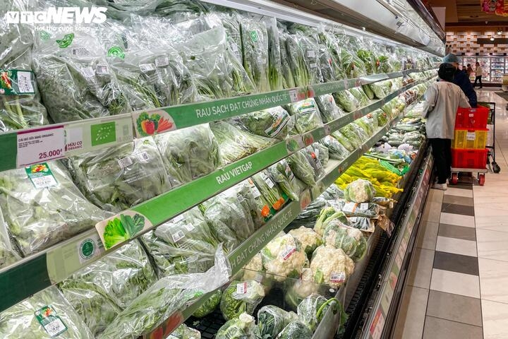 Giá rau xanh cũng không biến động: bắp cải 10.000 đồng/kg, cà chua 15.000 đồng/kg, xà lách 15.000 đồng/kg, hành lá 20.000 đồng/kg...