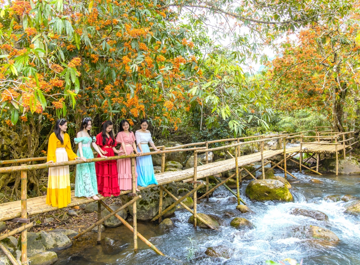 Mỗi khi hoa Vàng Anh nở, suối Moọc dường như nhộn nhịp hơn bởi du khách về đây khám phá, tìm kiếm những khoảnh khắc đẹp.