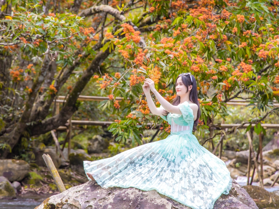 Giữa tháng 3 tiết trời se lạnh, thiếu nữ diện váy áo xinh tươi đến suối Moọc để chụp ảnh với nền hoa Vàng Anh đang nở rực