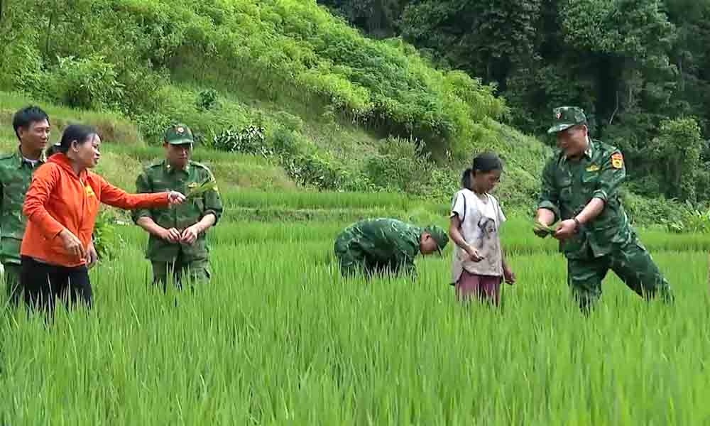 BĐBP Lai Châu hỗ trợ, giúp đỡ nhân dân phát triển kinh tế, xoá đói giảm nghèo