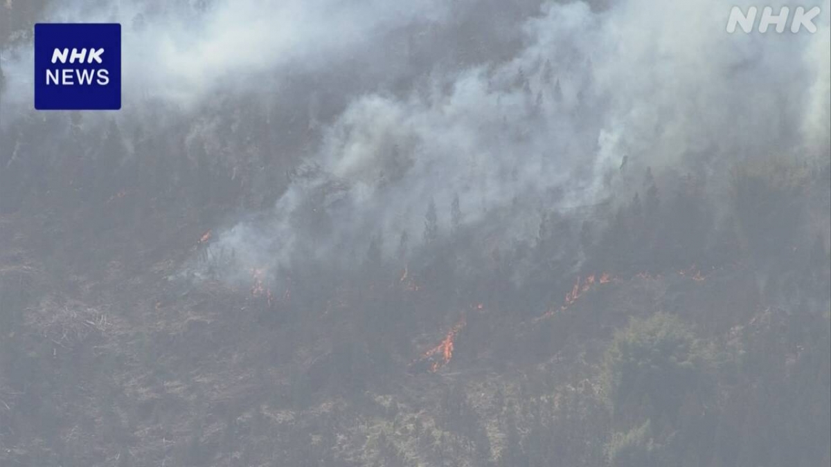 Cháy rừng tại Miyazaki vẫn chưa được khống chế. Ảnh: NHK