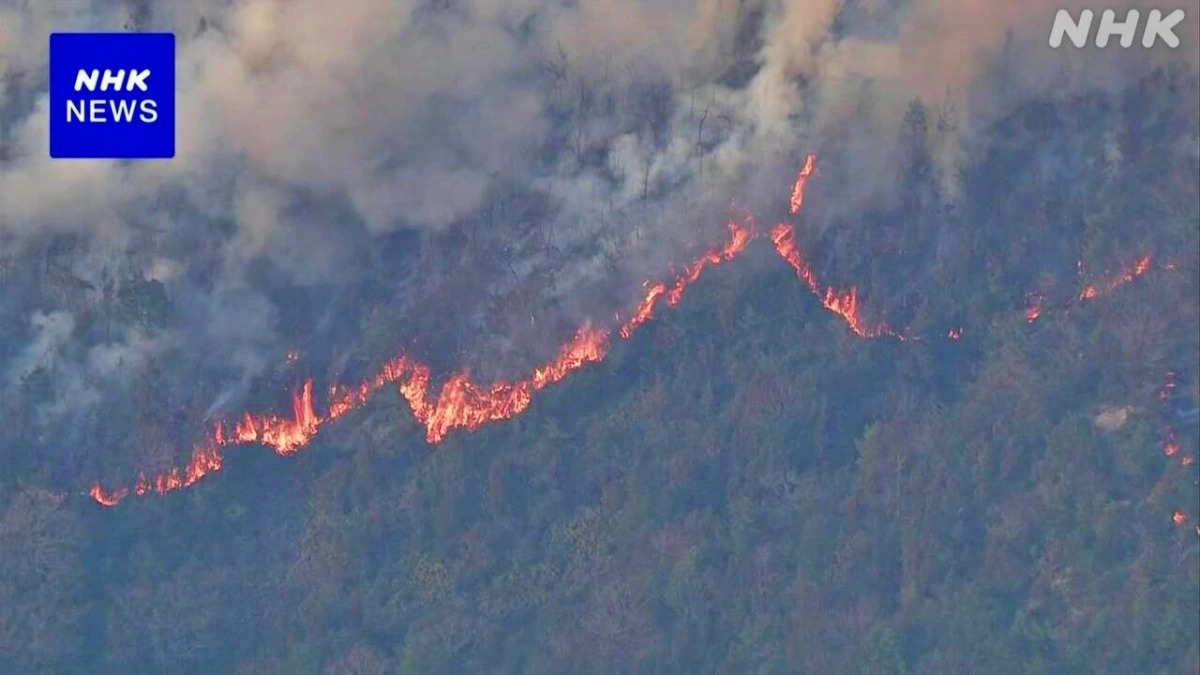 Đám cháy tại Imabari bùng phát từ chiều tối 23-03 (Ảnh: NHK).