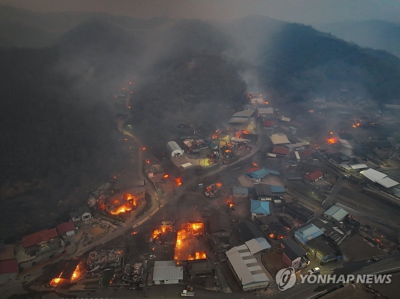Đến nay, cháy rừng tại Hàn Quốc vẫn tiếp tục lan rộng. Ảnh: Yonhap