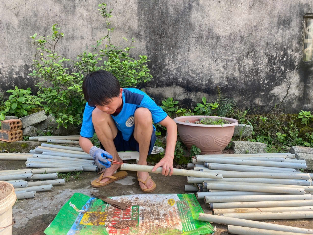 Từ đầu giờ chiều, những người làm nghề bẫy lươn sẽ băm nhỏ giun đất cho mồi vào ống bẫy