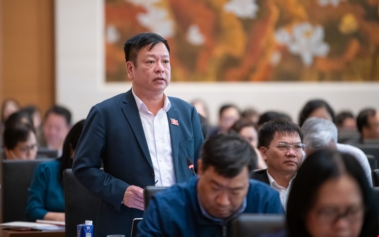 Phó Chủ nhiệm Ủy ban Pháp luật - Tư pháp Nguyễn Trường Giang