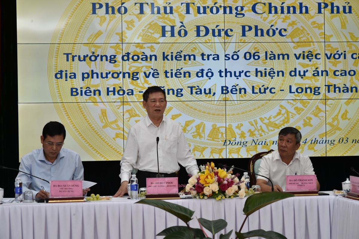 Phó Thủ tướng Hồ Đức Phớc phát biểu tại buổi làm việc (Ảnh: VGP)