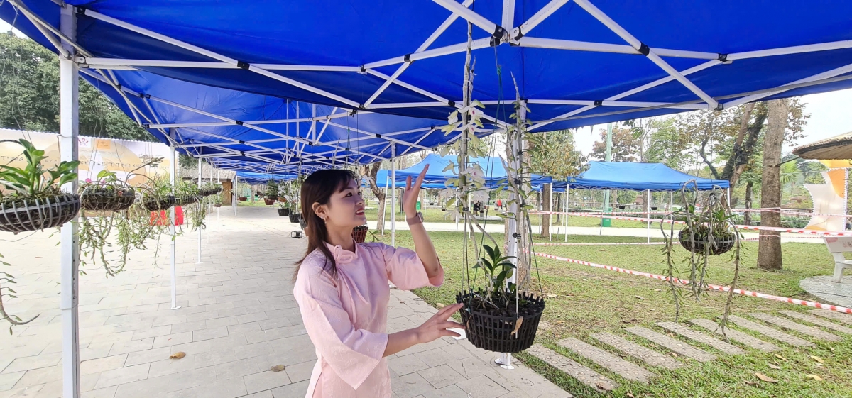 Triển lãm Trưng bày Hoa lan nghệ thuật Toàn quốc lần thứ II tại Đền Hùng.