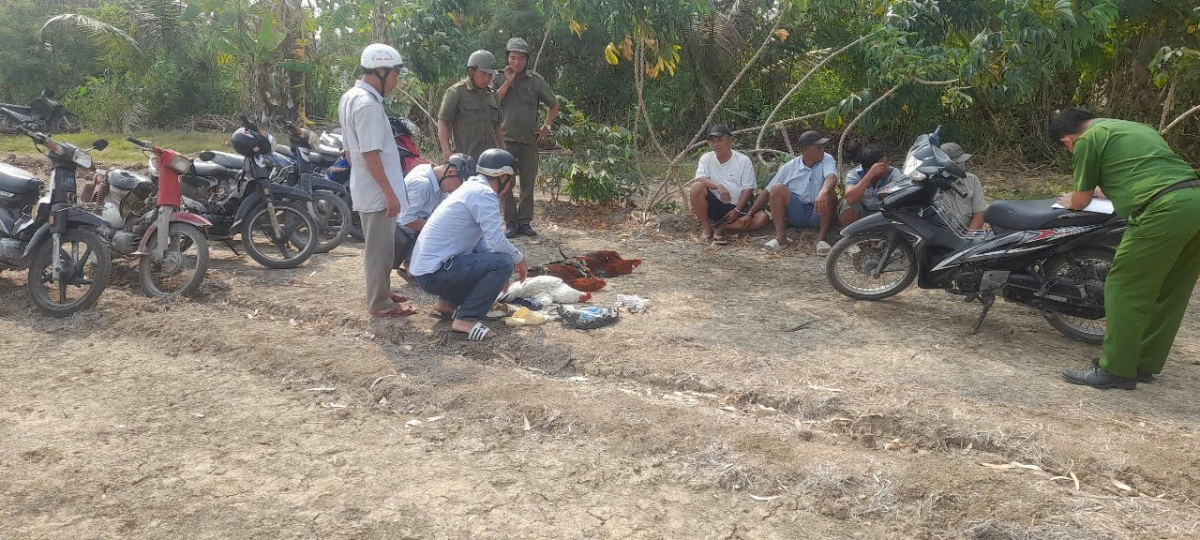 Công an lập hồ sơ, xử lý