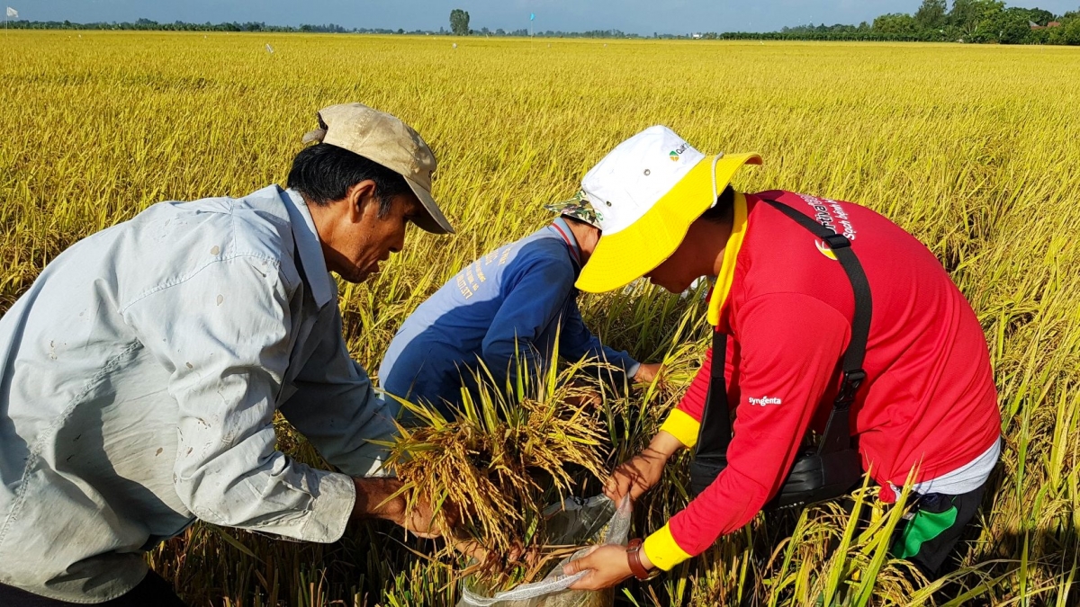 VSản phẩm diệt cỏ đến từ doanh nghiệp quốc tế sẽ giảm lượng thuốc phun, giảm phân dặm, gia tăng lợi nhuận, an toàn hơn cho con người và môi trường
