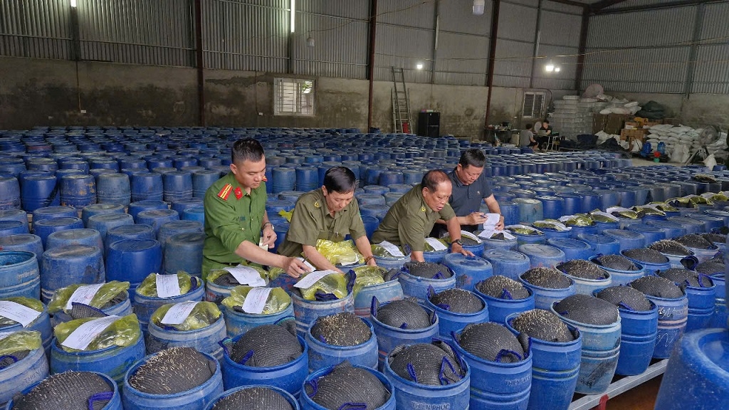 Niêm phong tang vật là các thùng chứa giá đỗ ngâm hóa chất