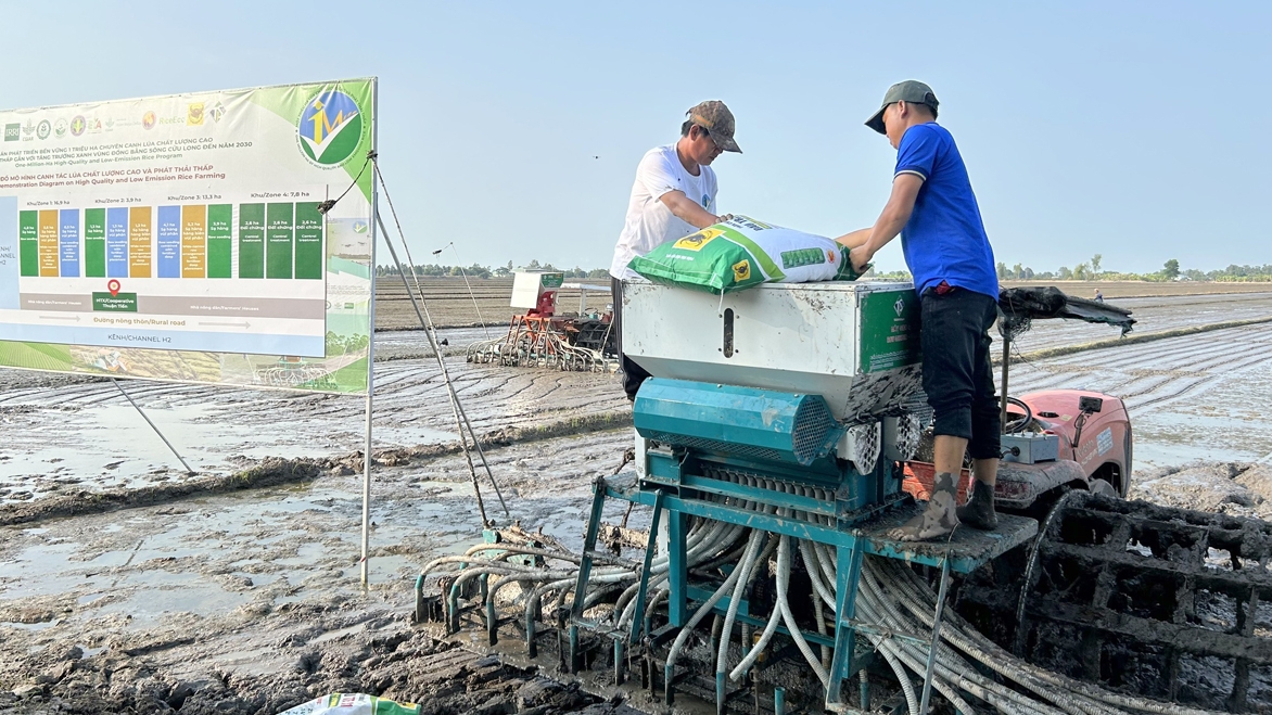 Triển khai đề án 1 triệu hecta ở vùng ĐBSCL