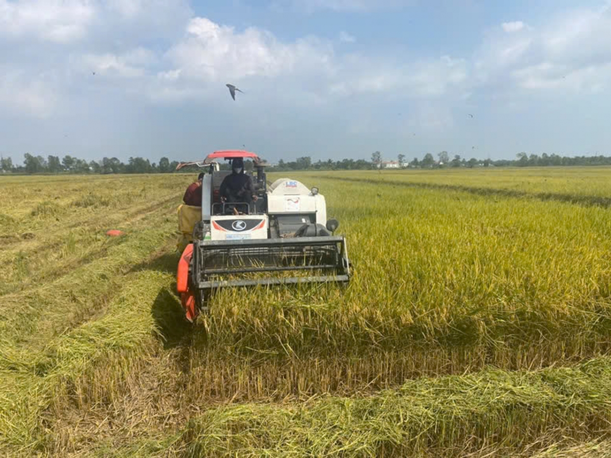 Chuyển đổi xanh tăng sức cạnh tranh cho doanh nghiệp