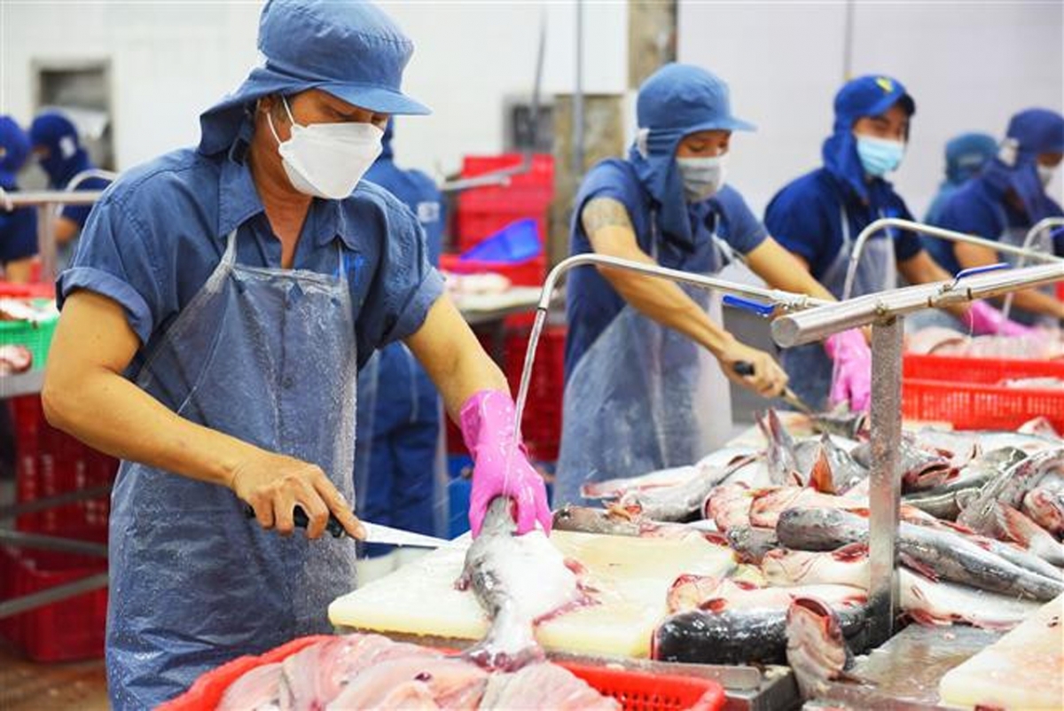 Việt Nam và Brazil đang nỗ lực nâng kim ngạch thương mại hai chiều lên 10 tỷ USD vào năm 2025.