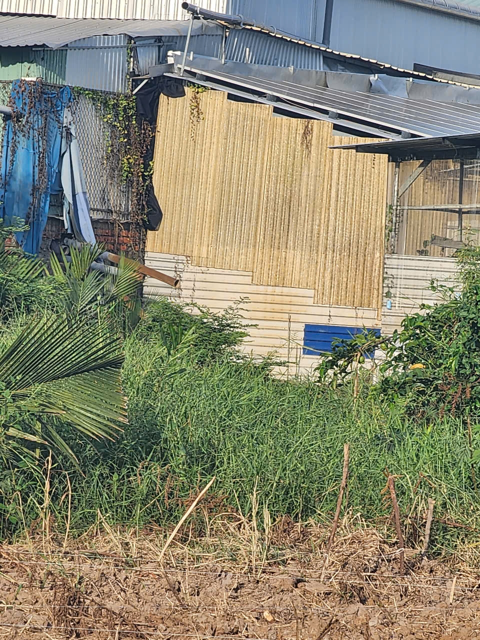 Phía công ty TNHH MTV LTS dừng xả khói ra bên ngoài sau khi VOV thông tin