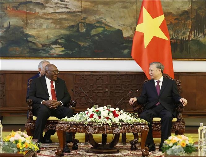 Tổng Bí thư Tô Lâm tiếp đồng chí Salvador Valdes Mesa, Ủy viên Bộ Chính trị, Phó Chủ tịch nước Cộng hòa Cuba. Ảnh: TTXVN