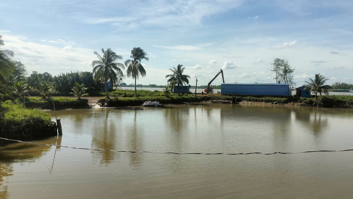 Ao cá nơi xảy ra nước tràn