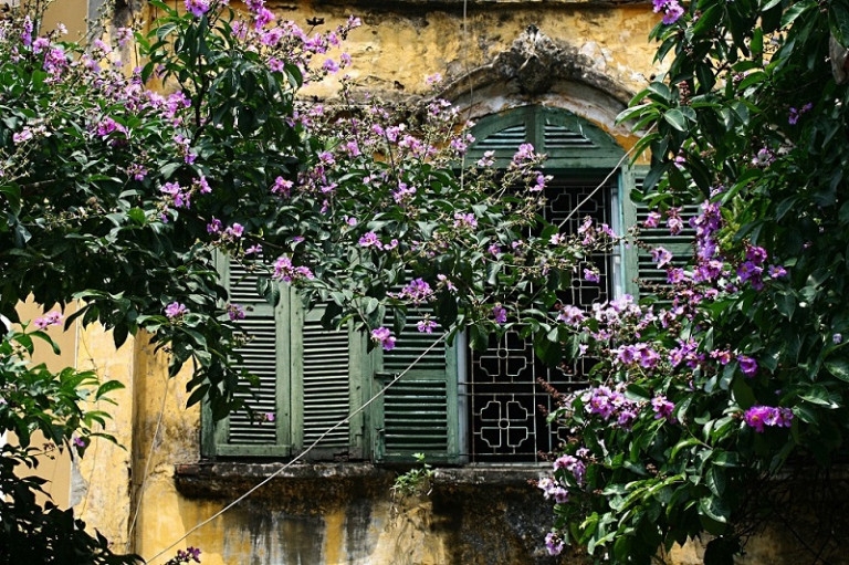 Cửa sổ một công trình của Pháp cổ. Ảnh MXH