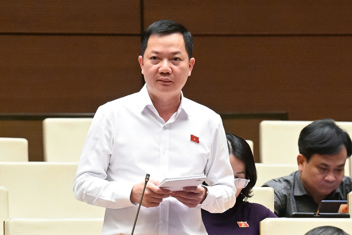 Đại biểu Trịnh Xuân An (đoàn Đồng Nai).