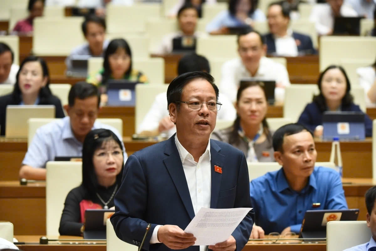 Đại biểu Nguyễn Trường Giang, đoàn Đắk Nông.