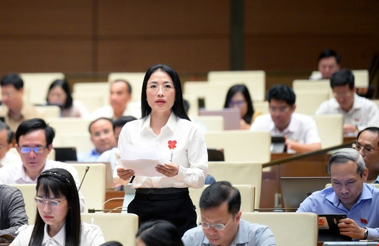 Đại biểu Trần Khánh Thu phát biểu thảo luận dự thảo Luật Hóa chất (sửa đổi)