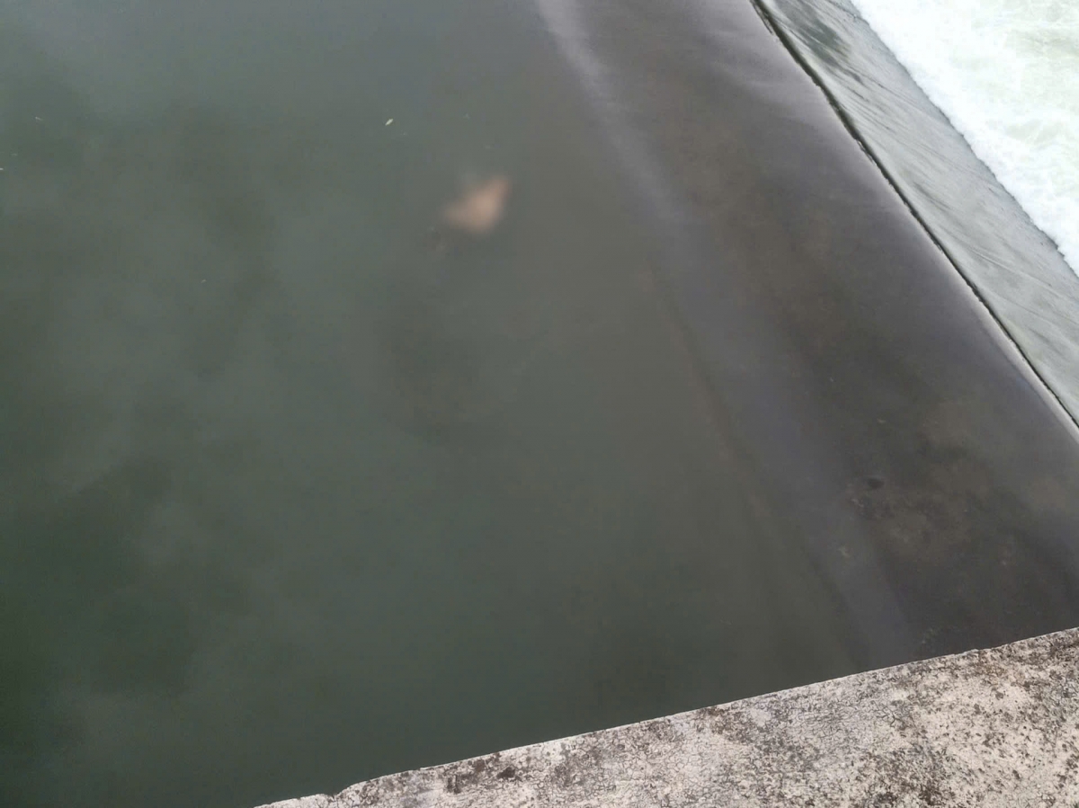 Nạn nhân cuối cùng trong vụ nhóm thanh thiếu niên đuối nước tại đập An Hải đã được tìm thấy vào chiều tối 23/5