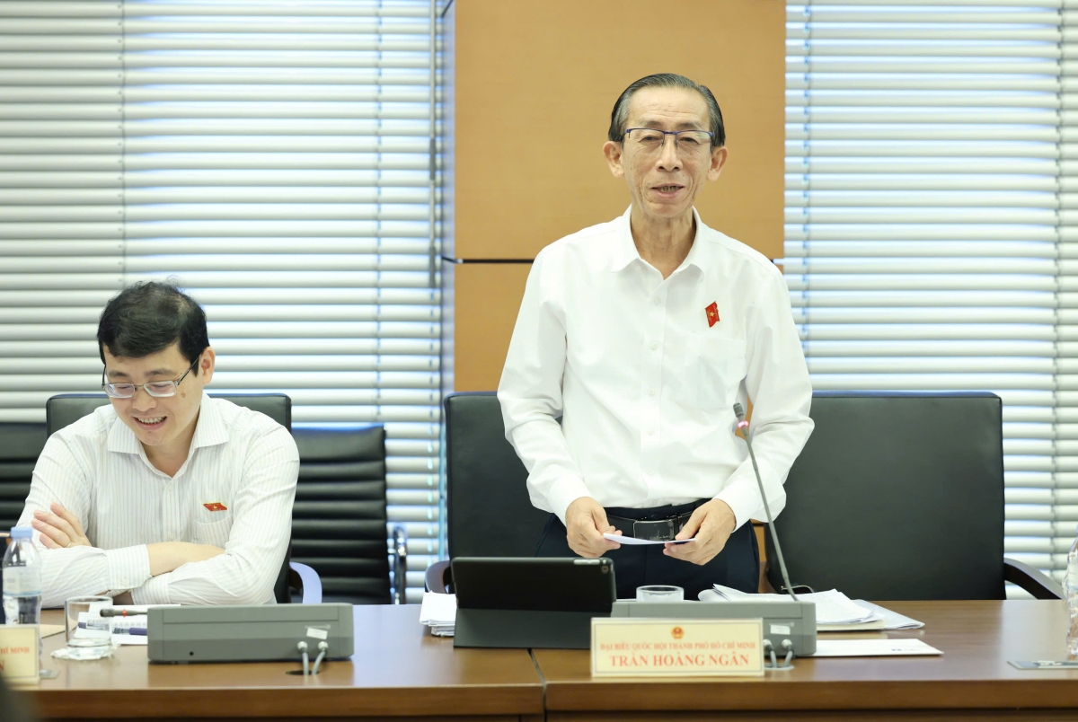 Đại biểu Trần Hoàng Ngân phát biểu.