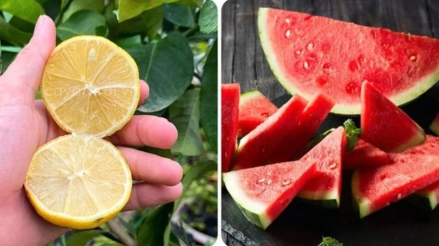 Dưa hấu và chanh kết hợp với nhau rất tốt cho gan