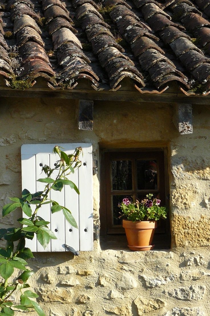 Nguồn ảnh: Pinterest