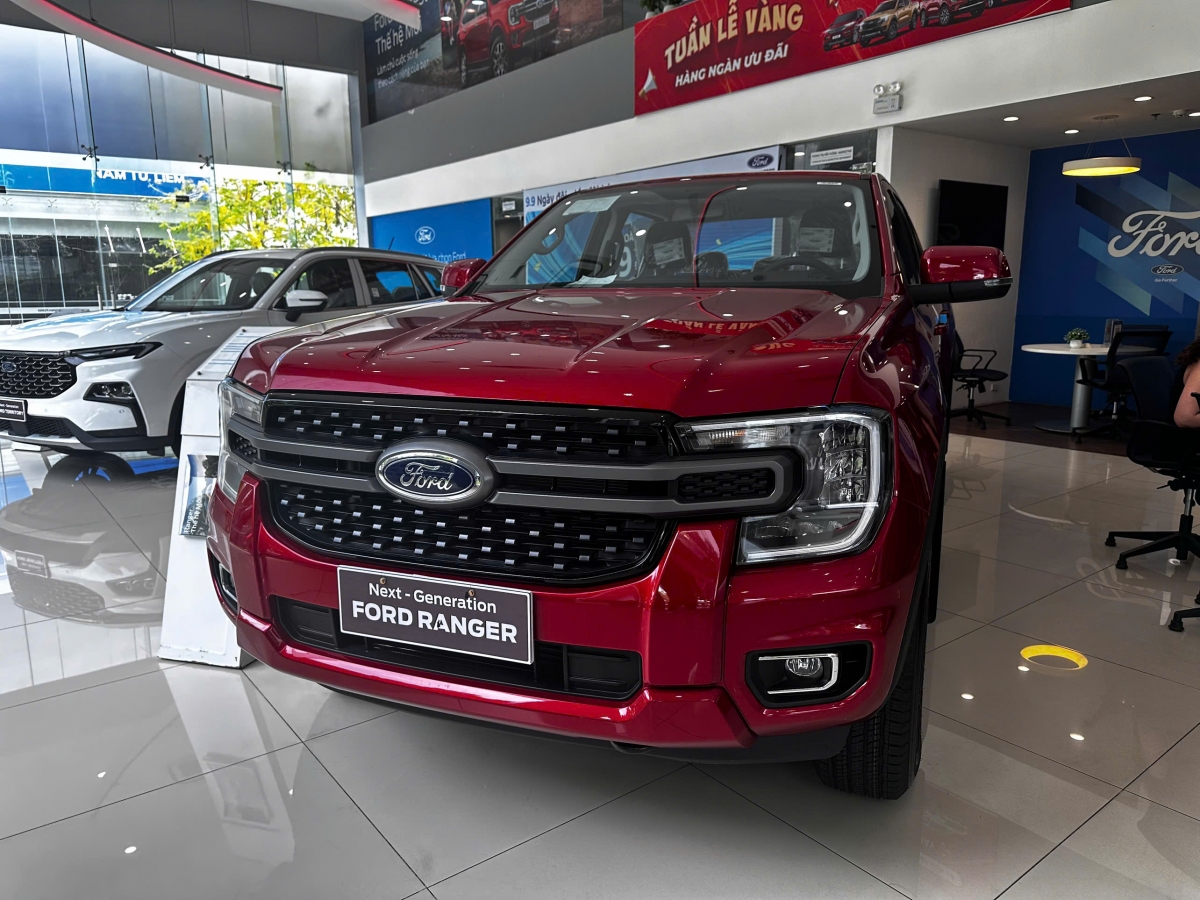Ford Ranger là mẫu chiếm hơn 70% thị phần xe bán tải tại Việt Nam trong những năm gần đây. Ranger cũng là mẫu xe bán tải bán chạy nhất thị trường Việt Nam nhiều năm; là sản phẩm chủ lực, chiếm 40% tổng doanh số bán xe Ford tại Việt Nam những năm gần đây.