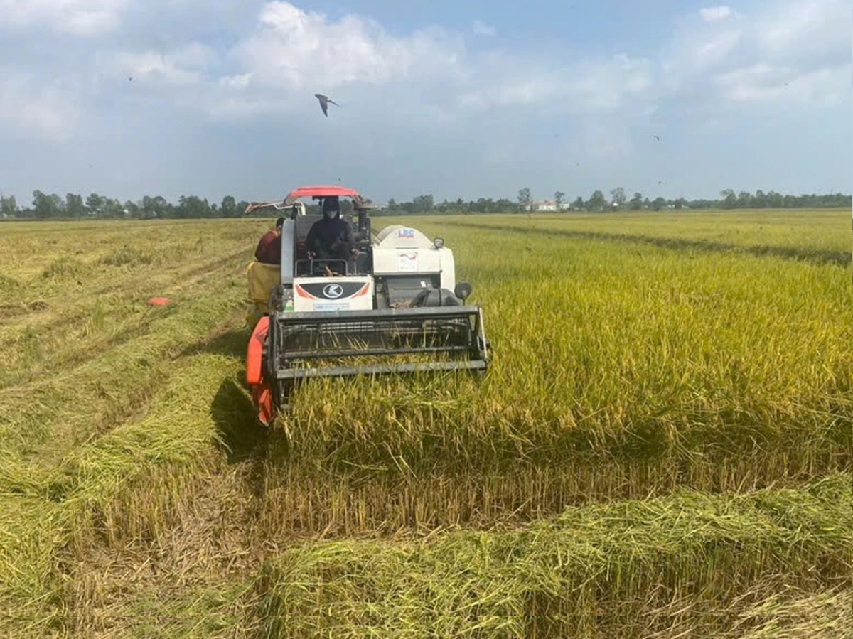 ĐBSCL nỗ lực thu hút đầu tư, ứng dụng công nghệ chuyển đổi số, chuyển đổi xanh