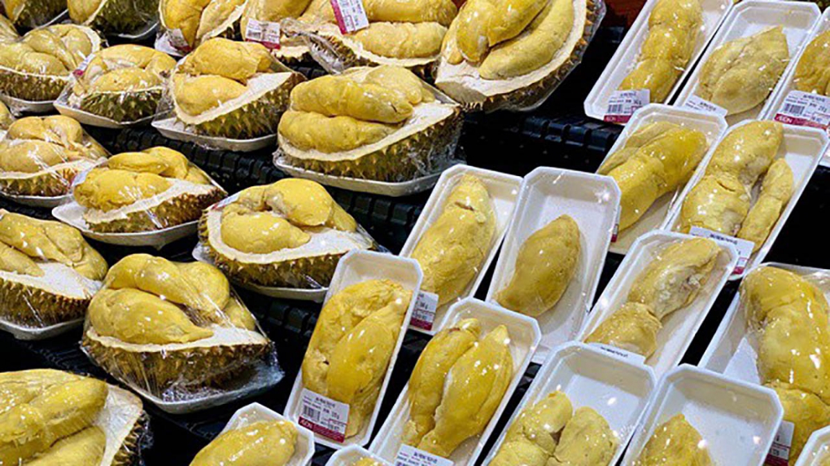 Xuất khẩu Sầu riêng thu về nhiều triệu USD..