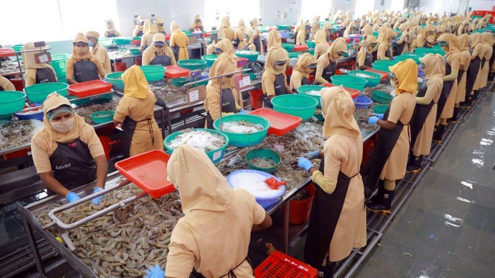 Một doanh nghiệp chế biến hải sản tại Ấn Độ - Ảnh minh họa: KT