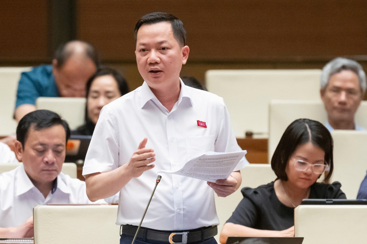 Đại biểu Quốc hội Trịnh Xuân An (đoàn Đồng Nai). (Ảnh: Media)