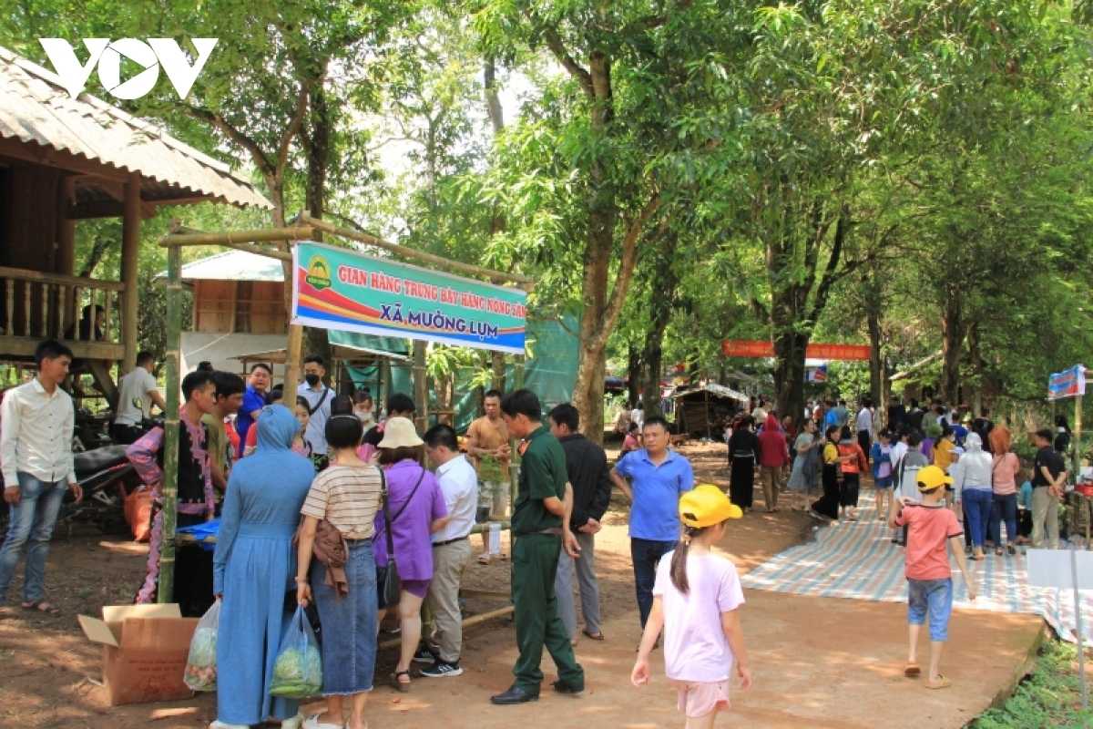 Ngày hội xoài Yên Châu năm 2025 tiếp tục được tổ chức tại bản Khá, xã Sặp Vạt - là bản có diện tích xoài cổ thụ lớn của huyện