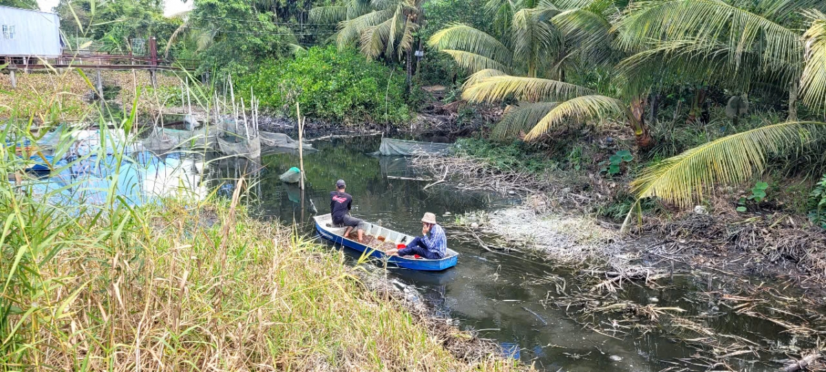Biện pháp phun chế phẩm EM và rải vôi để xử lý nguồn nước đang ô nhiễm