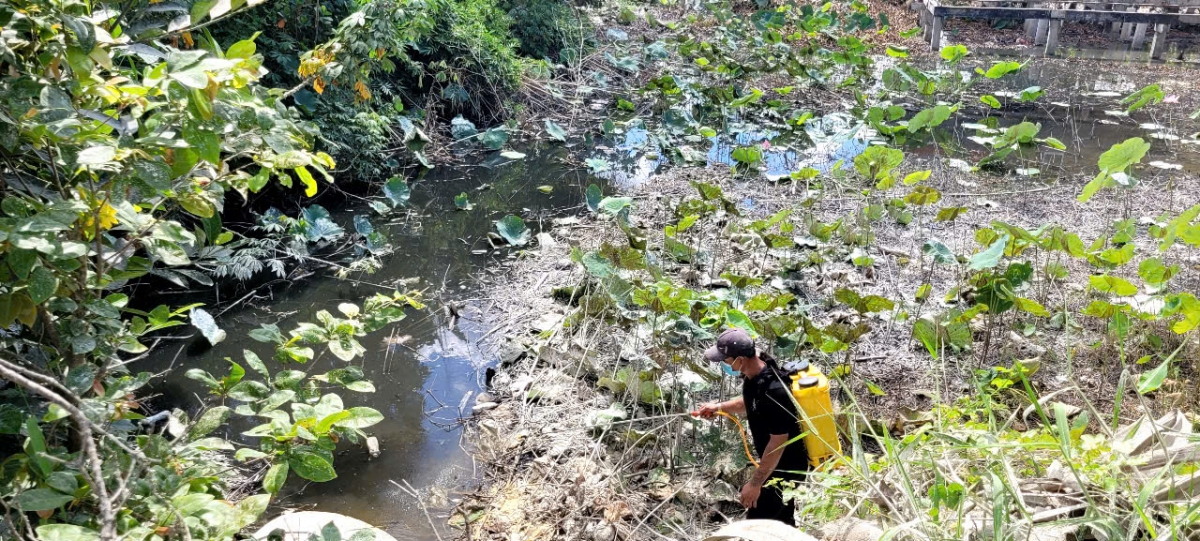 Công tác xử lý nước đen đang được tiến hành khẩn trương 