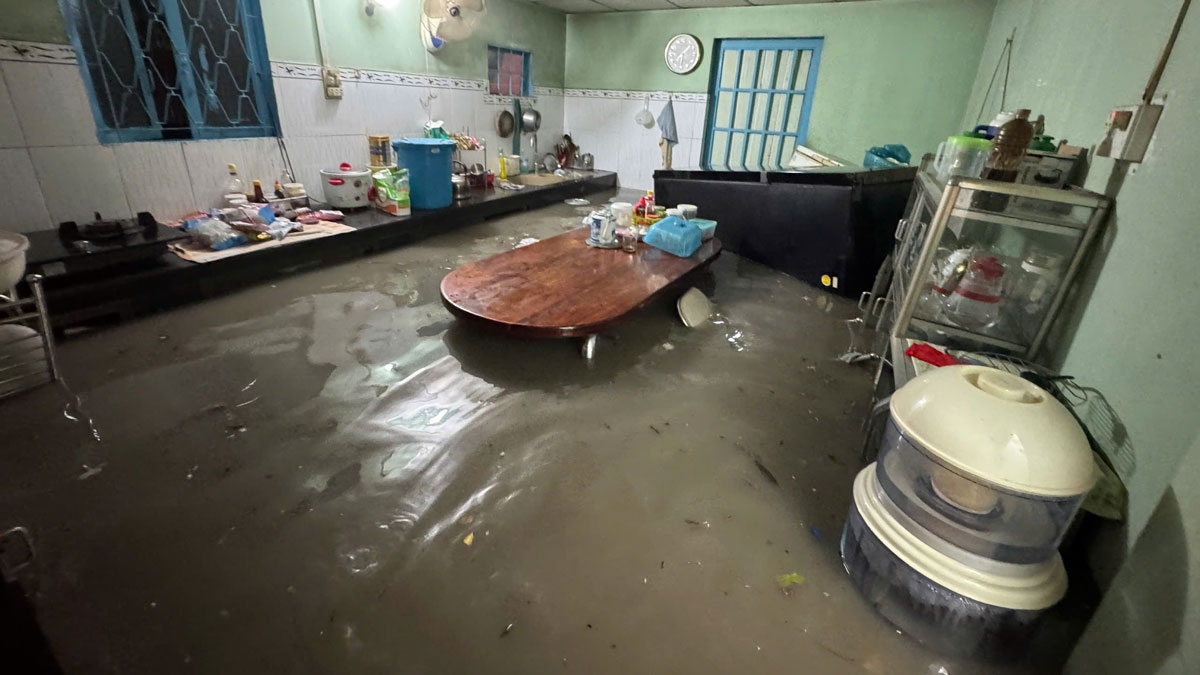 Những ngôi nhà ngập sâu trong nước 