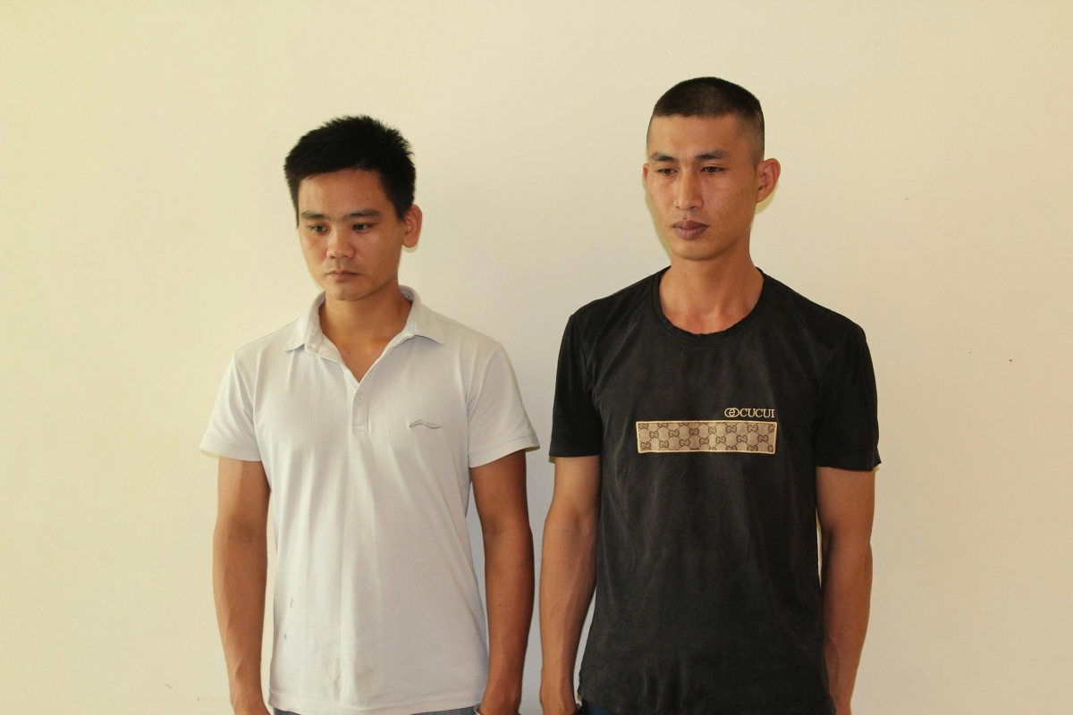 Trần Đình Hào và Phạm Đình Thế