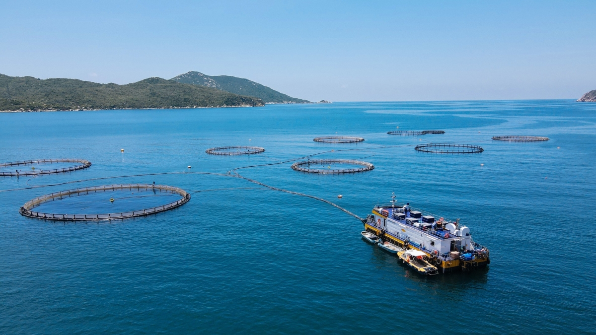 Doanh nghiệp FDI đầu tư nuôi biển hiện đại tại Vịnh Vân Phong, tỉnh Khánh Hòa