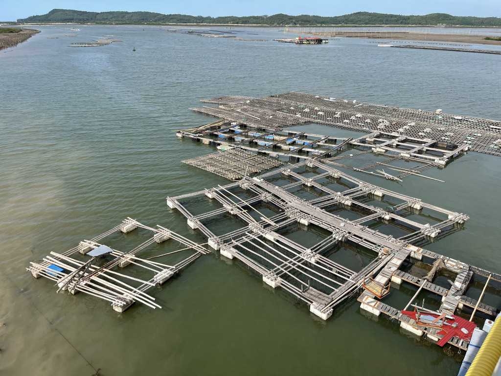 Tuy rẻ tiền, dễ đầu tư nhưng phao xốp lại là nguyên nhân gây ô nhiễm mặt biển nghiêm trọng khi bị nứt, vỡ do sóng to gió lớn gây hại cho hệ sinh thái và gây khó khăn cho việc thu gom xử lý (Ảnh tư liệu)