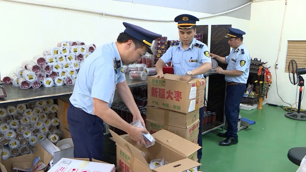 Lực lượng quản lý đang kiểm tra hoàng hóa, giấy tờ của công ty. Ảnh: CCQLTT Phú Thọ.