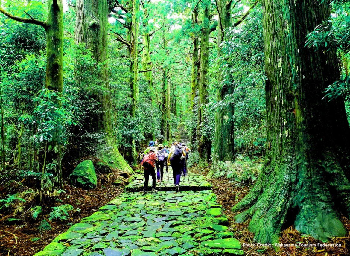 Khách tham quan trên tuyến đường Kumano Kodo. Nguồn: Wakayama Tourism Federation