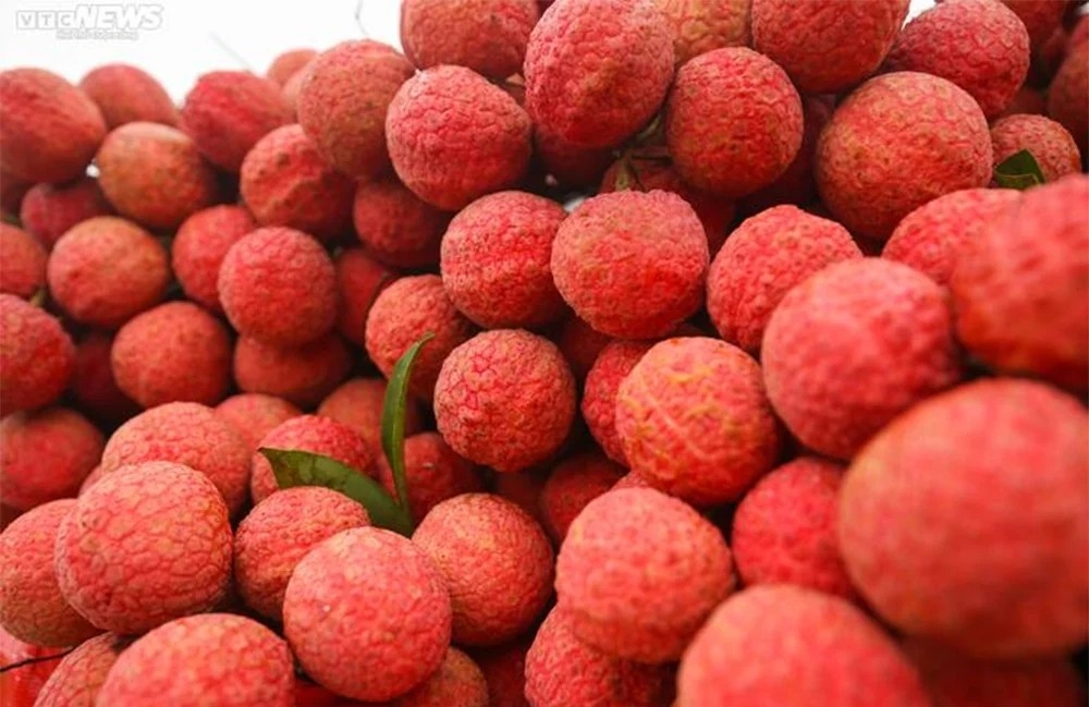 Cách chọn vải thiều ngon: Ưu tiên loại quả nhỏ, tròn đều. (Ảnh: Minh Đức)