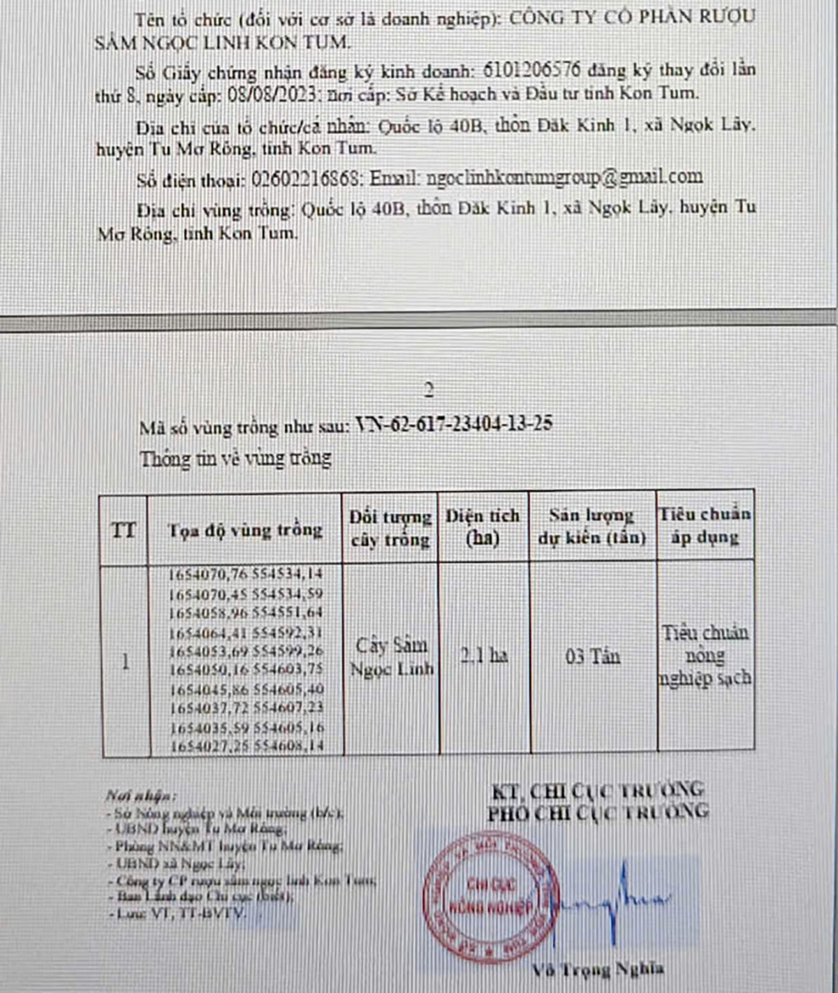 Thông tin về sản lượng sâm Ngọc Linh dự kiến trong Giấy xác nhận cấp mã số vùng trồng sâm Ngọc Linh ngày 30/5/2025 của Chi cục Nông nghiệp tỉnh Kon Tum.